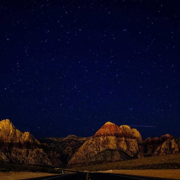 V Yaka T-Shirt Mor - 2