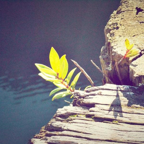 Vücut Güneş Spreyi SPF 40 - 2