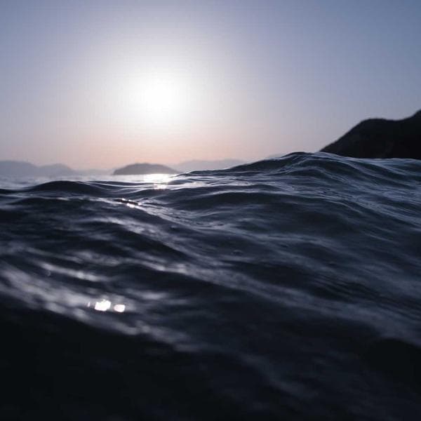 Pet Stroller Yürüyüş Arabası - 3