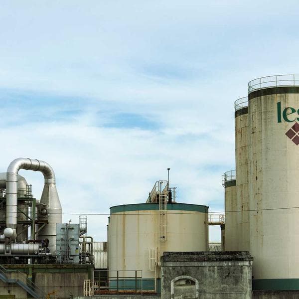 Futsal İç Halı Ayakkabısı - 3