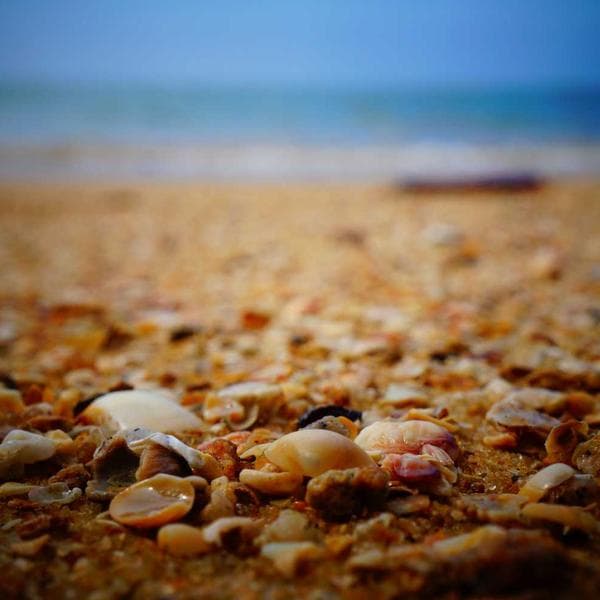 Yüzme Suyu Botunu 2L Koruma - 2