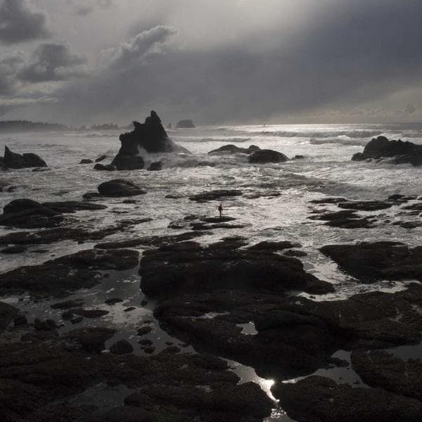 Batik Desenli Gömlek Bordo