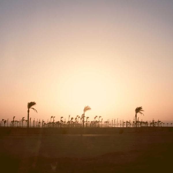 Kalorisi Düşük Sos