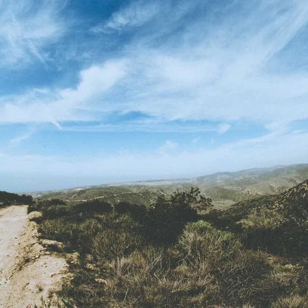 Soğuk Ağda Şerit - 3