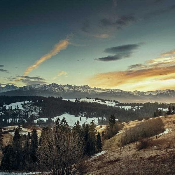 Kotton Kısa Tulum Mavi - 2