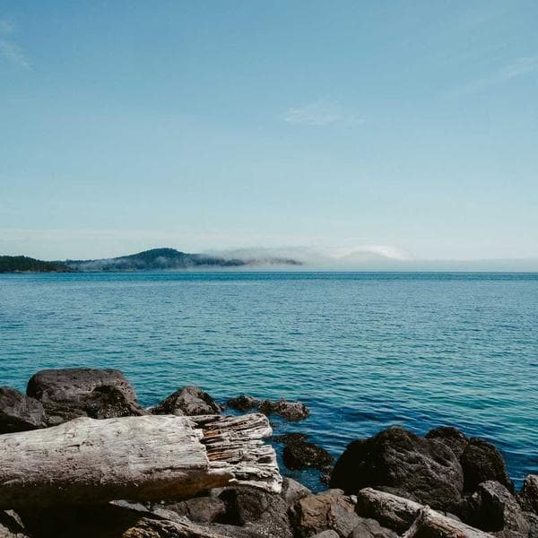 Masa Lambası Ofis Gözlüksüz - 1