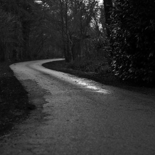 Organik Yeşil Çay Paketi - 3