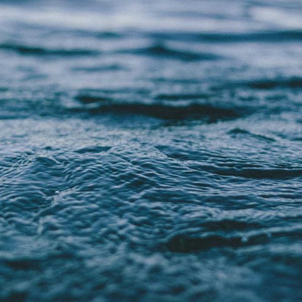 Isı Kontrol Termostatı Dijital - 3