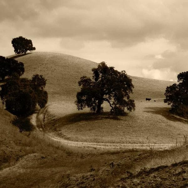 TomTom Go Premium Navigasyon - 2