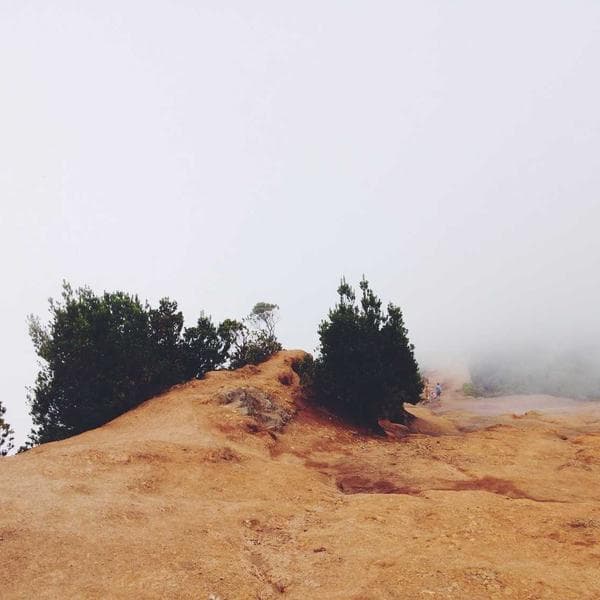 Kablosuz Mouse 2.4GHz - 3