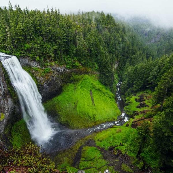 Araba Paspası Premium - 1