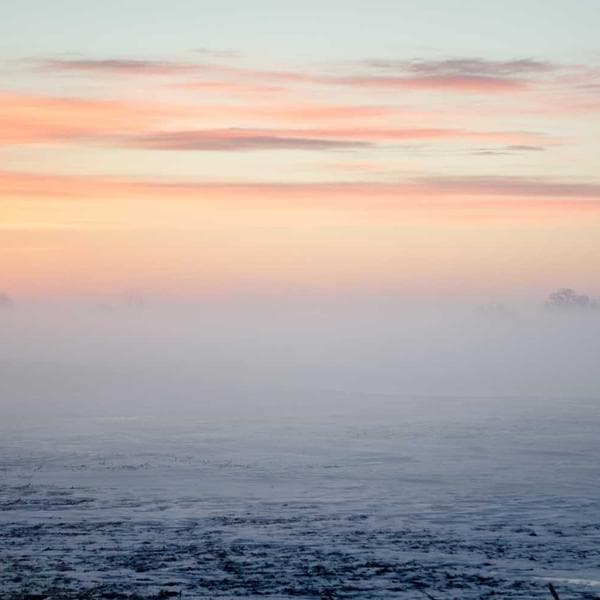 Wacom Intuos Pro Medium Tablet - 3