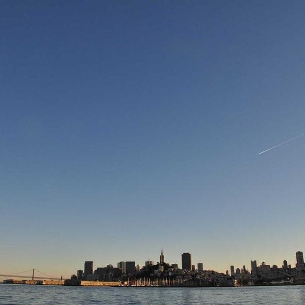 Kedi Fırçası Tırnak Kesici