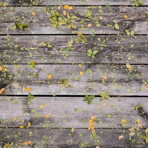 Mavi Çizgili Kravat - 3