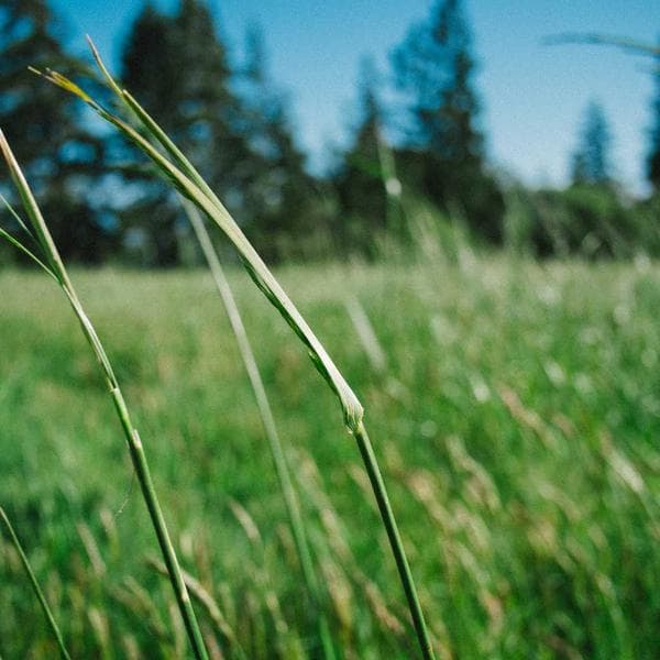 Yüksek Kapasiteli Dosya - 3