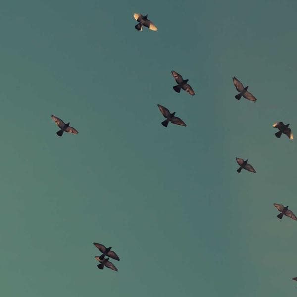 Makyaj Temizleme Yağı 150ml - 2