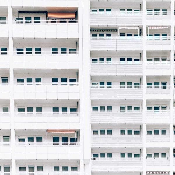 Köpek Tasması Deri 50cm - 2