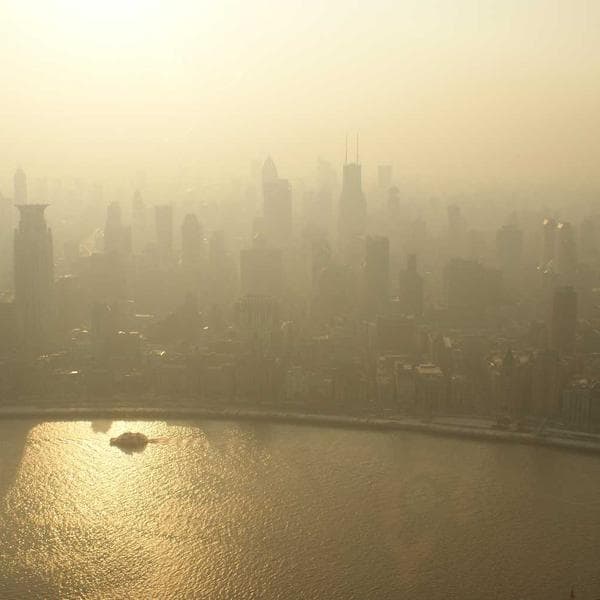 Organik Hindistan Cevizi Unu