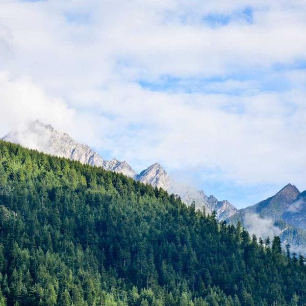 Ağırlık Bandı Seti - 3