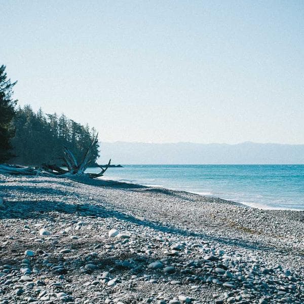 Hoparlör Bluetooth Taşınabilir