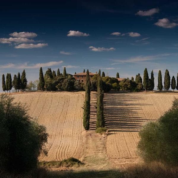 Boks Bandı Elastik - 3