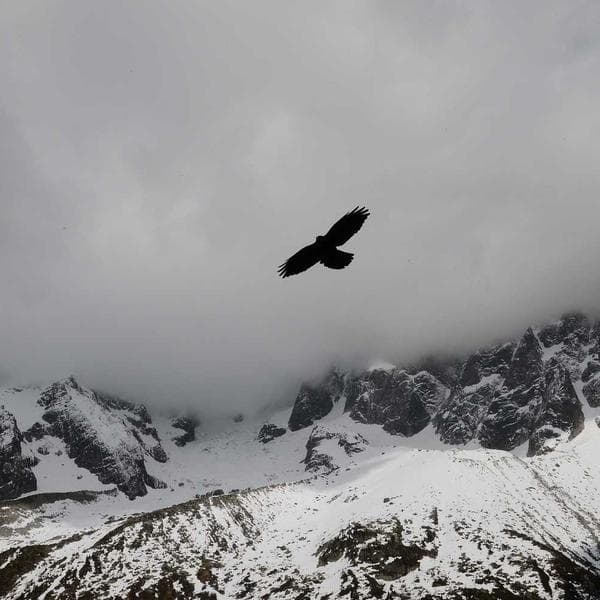 Futsal Ayakkabısı - 3