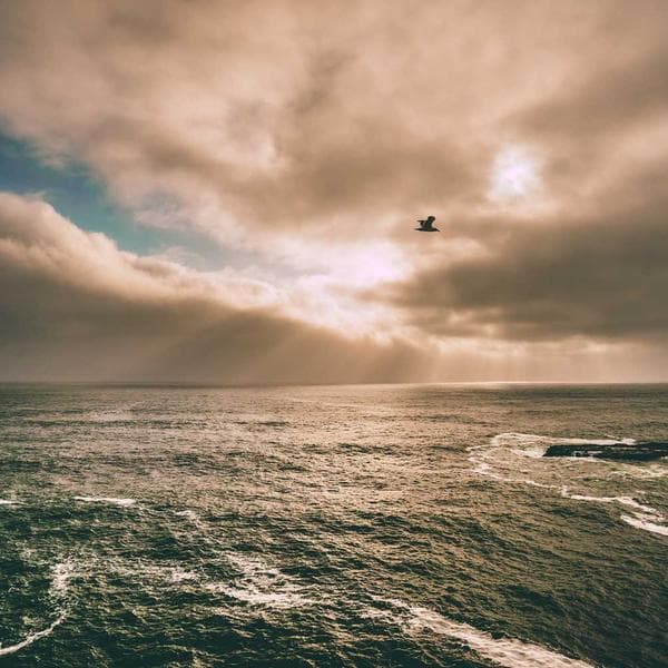 Dijital Termometre Alet