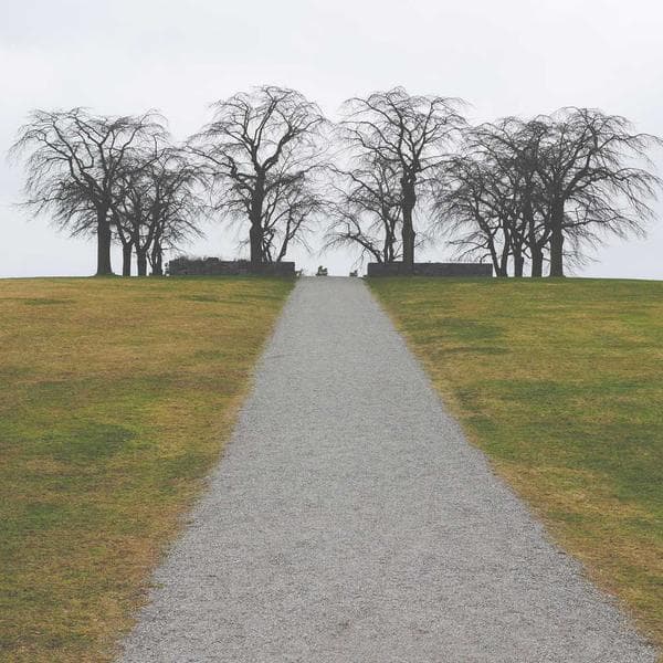 Pamuk Sutyen Siyah - 2