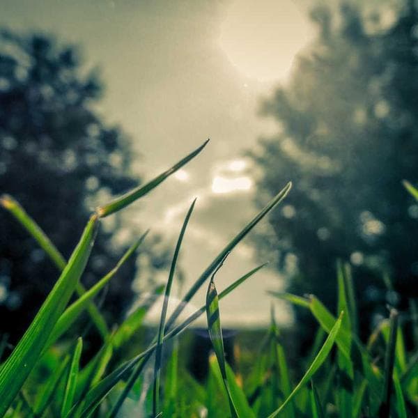 Renk Kombin 3'lü Set - 2