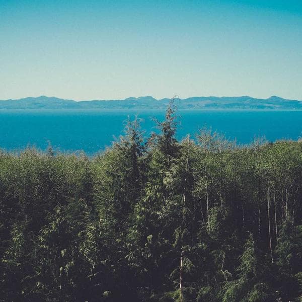 Segway Ninebot D28E Scooter