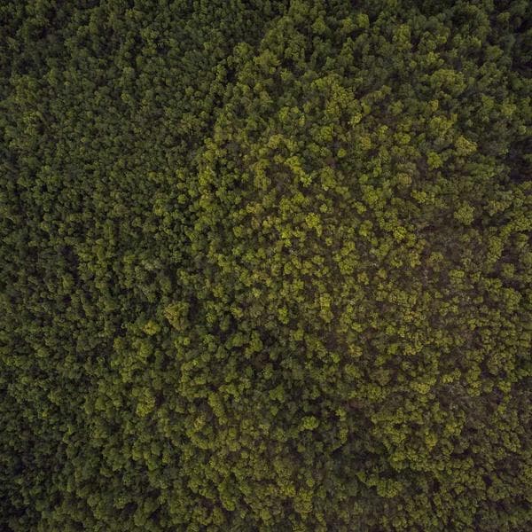 Manyetik Yazı Tahtası Seti - 2