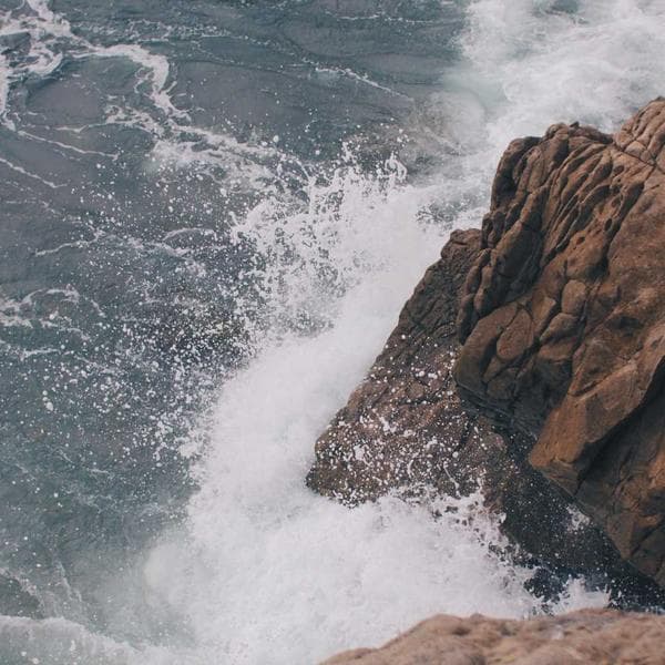 Kedi Tırnak Kesme Maşası - 3