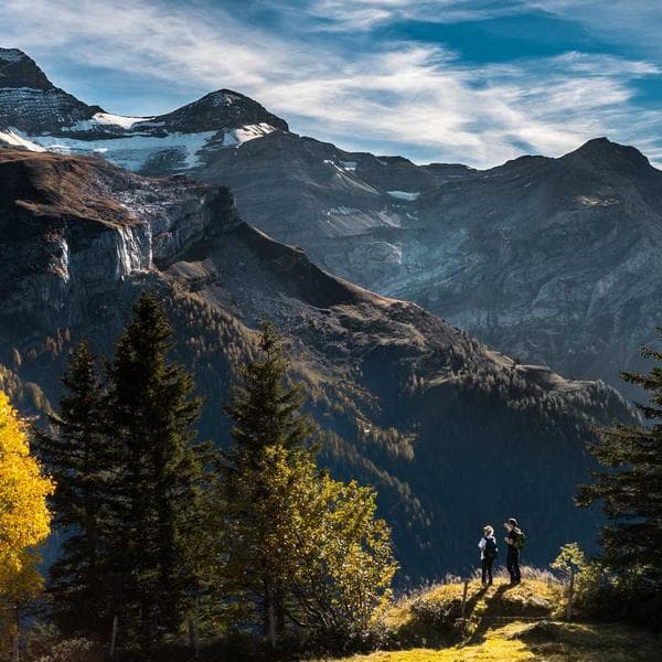 Boks Eldiveni 12oz - 3