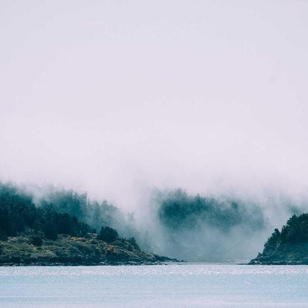 Pamuk Karışım Zibini Krem - 2