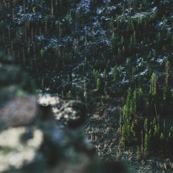 Erkek Yüz Nemlendirici - 2