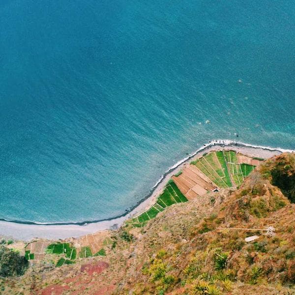 Purina Pro Plan Somonlu 1.5kg - 2