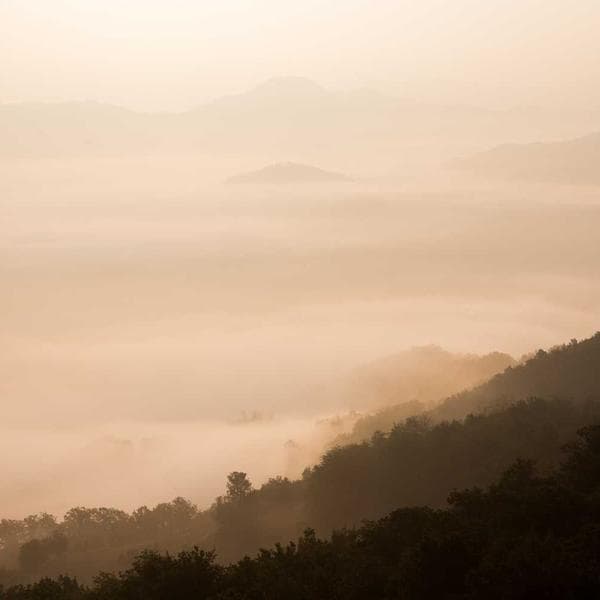 Krem El Çantası Zincirli - 2