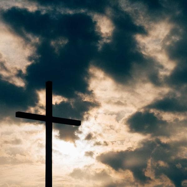 Plastik Saklama Kutusu (5'li) - 3