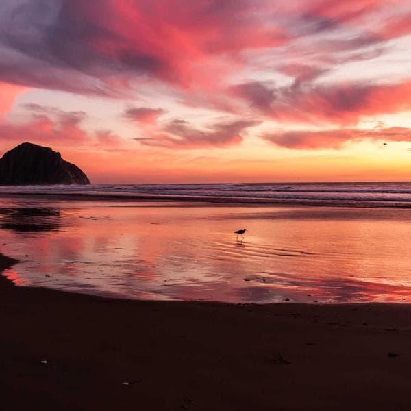 Ofis Sandalyesi Siyah Deri - 2