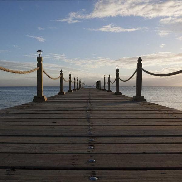 Dinozor Erkek Tişört