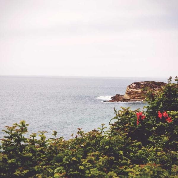 Siyah Takım Elbise - 3