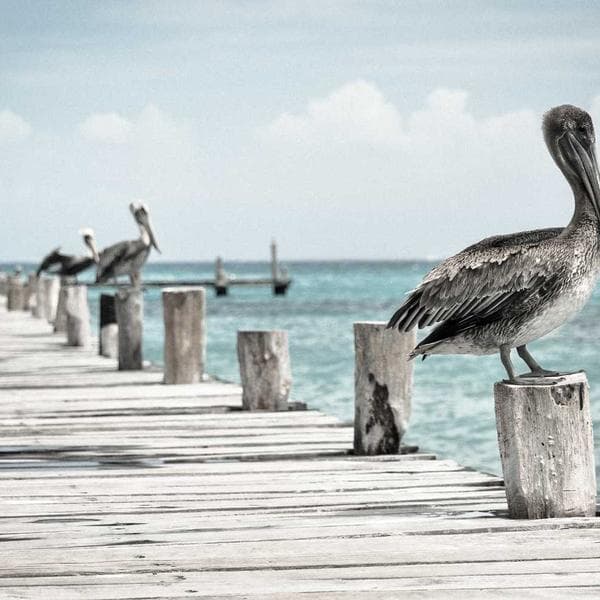 Gümüş Kristal Abiye