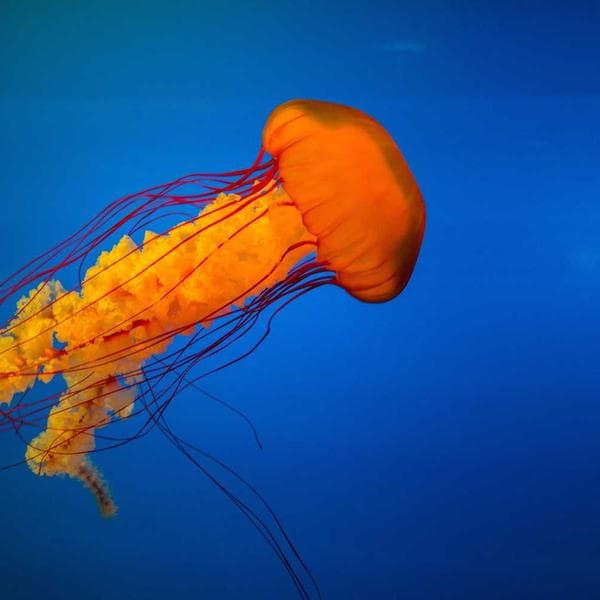 Mekanik Oyun Klavyesi RGB - 3