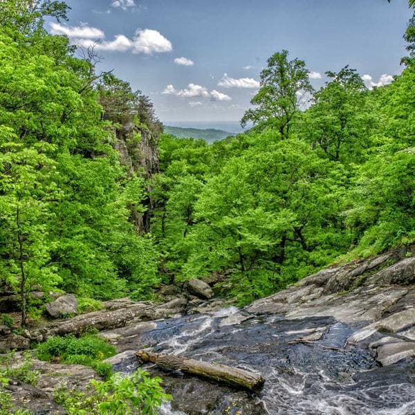 Zencefil Kapsülü 60 Adet - 2