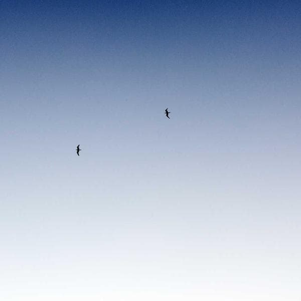 Çocuk Odası Halısı - 3