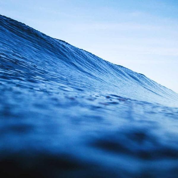 Ninebot Max Profesyonel Scooter