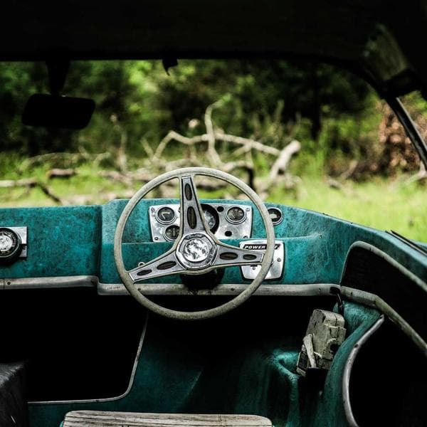 Tahılsız Köpek Mamasi 10kg - 3