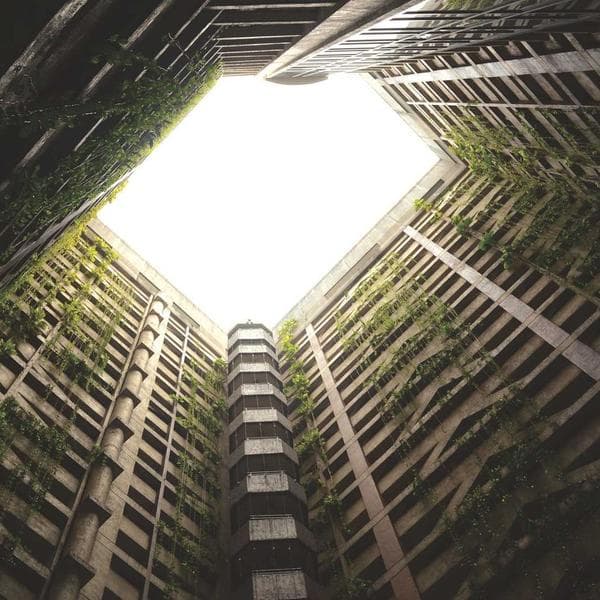 Golf Sopası Set 12 Parça