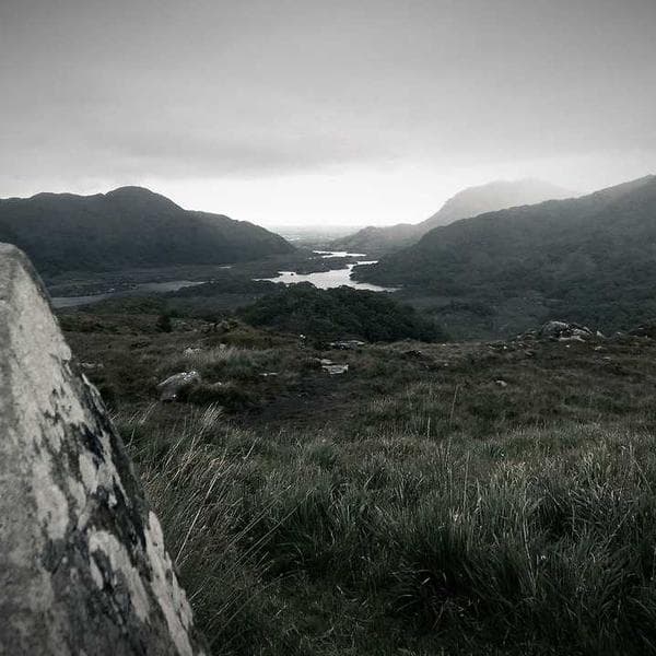 Yeşil Bitki Gübresi - 2