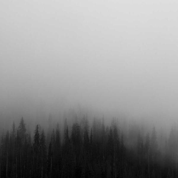 Bordo Uzun Kollu Forma - 3